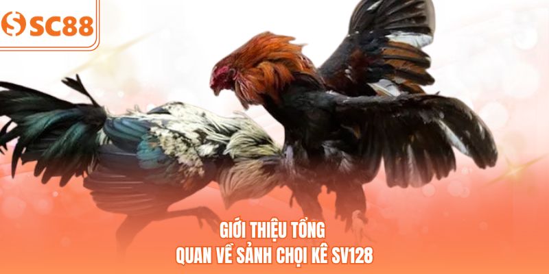 Giới thiệu tổng quan về sảnh chọi kê SV128