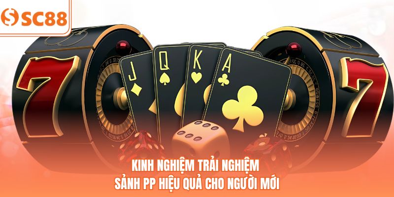Kinh nghiệm trải nghiệm sảnh PP hiệu quả cho người mới