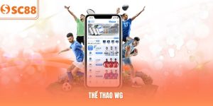 Thể Thao WG - Sảnh Cược Uy Tín 2026 Với Tỷ Lệ Kèo Hấp Dẫn