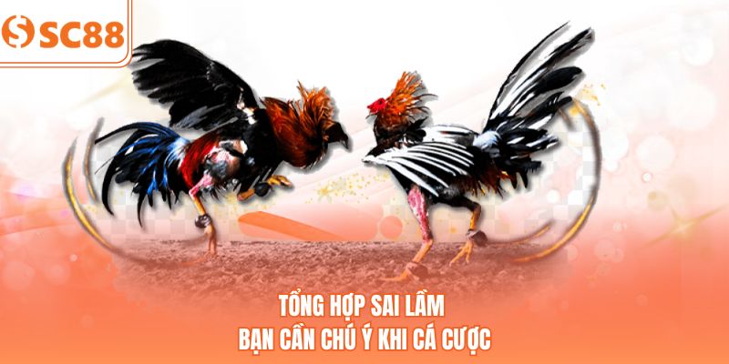 Tổng hợp sai lầm bạn cần chú ý khi cá cược