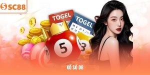 Xổ Số DB | Sảnh Giải Trí Hấp Dẫn, Thu Hút Triệu Hội Viên